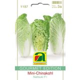 GOURMET EDITION Mini Chinese Cabbage "Natsuki F1"