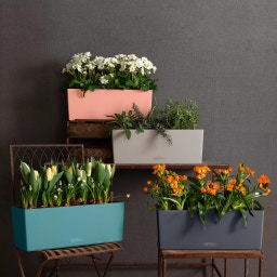 Lechuza BALCONERA Color 40 Planter