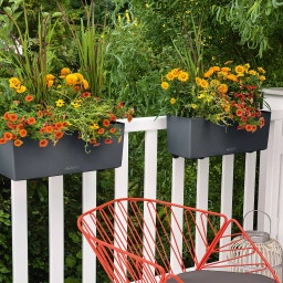 Lechuza BALCONERA Color 40 Planter