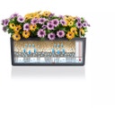 Lechuza BALCONERA Color 40 Planter