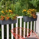 Lechuza BALCONERA Color 100 Planter