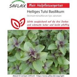 Saflax Heiliges Tulsi Basilikum - 1 Pkg