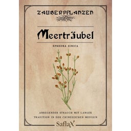 Saflax Meerträubel - 1 Pkg