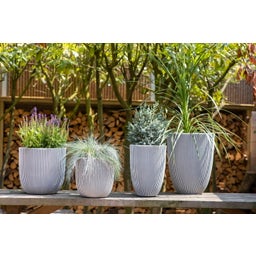 Capi Planter Elegant low 