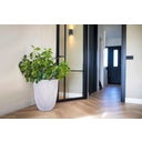 Capi Planter Elegant low 