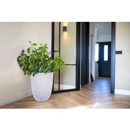 Capi Planter Elegant low 