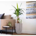 Capi Planter Elegant low 