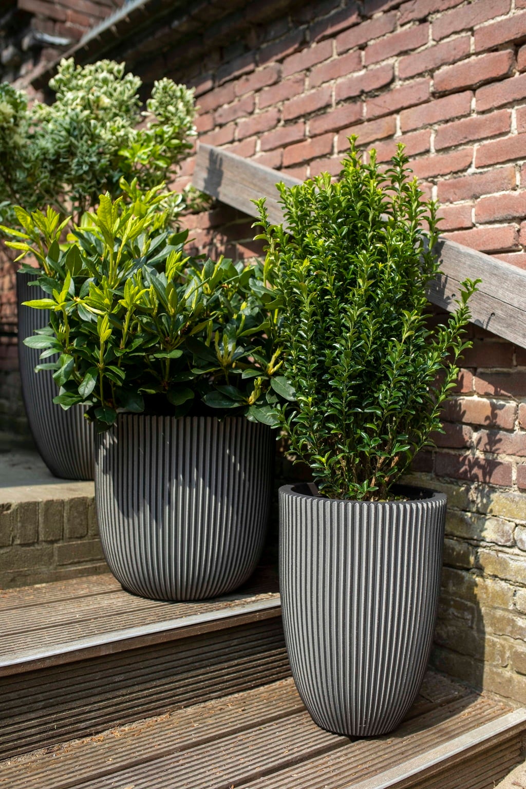 Capi Planter Elegant low 