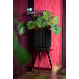 Capi Planter Cylinder 