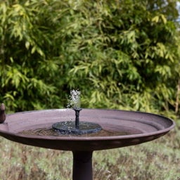 Esschert Design Sončna fontana  - 1 k.