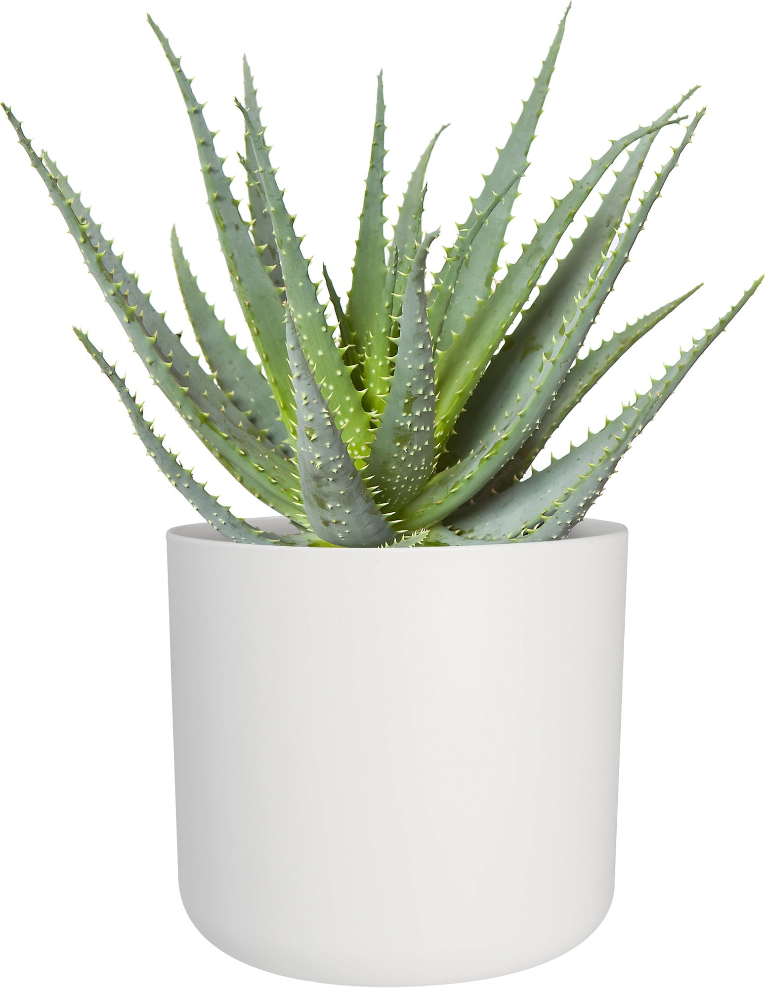 elho Cache-Pot B.FOR Soft Rond - Blanc