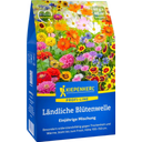 Kiepenkerl Blumenmischung Ländliche Blütenwelle