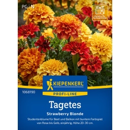 Kiepenkerl Tagetes Strawberry Blonde