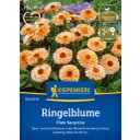 Kiepenkerl Ringblomma Pink Surprise