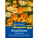 Kiepenkerl Ringelblume Daisy Mischung