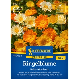 Kiepenkerl Ringelblume Daisy Mischung