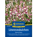 Kiepenkerl Snapdragon Cherry Twist