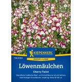 Kiepenkerl Löwenmäulchen Cherry Twist