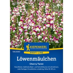 Kiepenkerl Snapdragon Cherry Twist