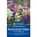 Kiepenkerl Mix di Salvia Tricolore