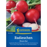 Kiepenkerl Rábano Misato Red