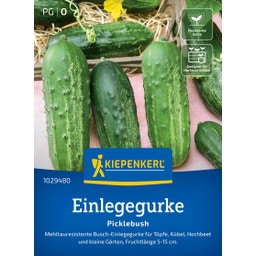 Kiepenkerl Pickling Cucumber 