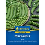 Kiepenkerl Markerbse Aloha