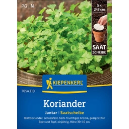 Kiepenkerl Koriander Jantar, Saatscheibe