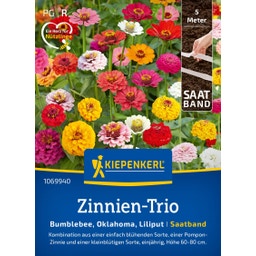 Kiepenkerl Zinnia Trio