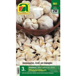 AUSTROSAAT Garlic Bulbs Size 40/60