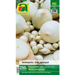 AUSTROSAAT Onions "White Snowball"