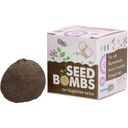 Die Stadtgärtner Wildflower Seed Bombs - 1 item