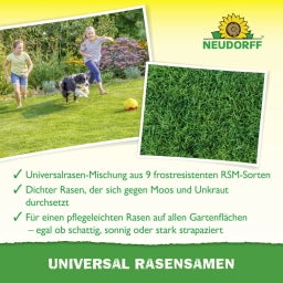 Neudorff Universal Rasensamen