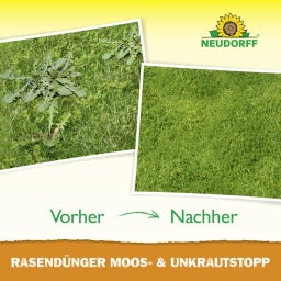 Neudorff Rasendünger Moos- & Unkrautstopp