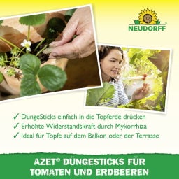 Azet Düngesticks für Tomaten und Erdbeeren