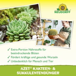 Neudorff Azet Kakteen- & Sukkulentendünger