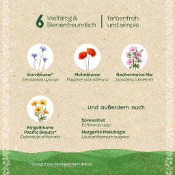 Saatgeschwister Saatgut Set Wildblumen Klassiker - 1 Pkg