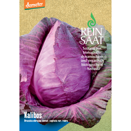 ReinSaat Red Cabbage 