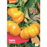 ReinSaat Paprika "Tamiro"