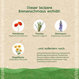 Die Stadtgärtner Saatgeschwister Saatkugeln Bienenschmaus