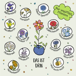 Die Stadtgärtner Osterblumen Blumenmurmeln - 6er