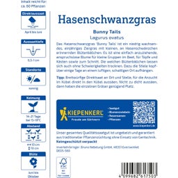 Kiepenkerl Hasenschwanzgras Bunny Tails - 1 Pkg