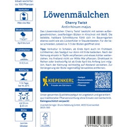 Kiepenkerl Snapdragon Cherry Twist - 1 Pkg