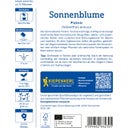 Kiepenkerl Sunflower Picknic - 1 Pkg