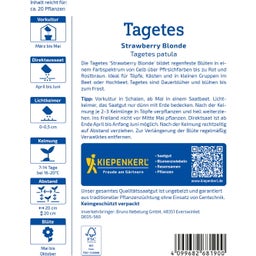 Kiepenkerl Tagetes Strawberry Blonde - 1 Pkg