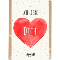 Samenbomben-Geschenkbox  -  Ich liebe dich - Mini