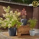 Lechuza CLASSICO Color 28 Planter