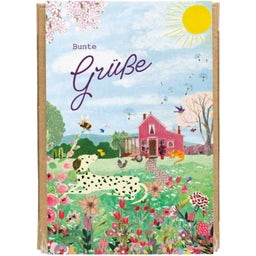 Blossombs Seed Bomb Gift Box - Colourful Greetings - small