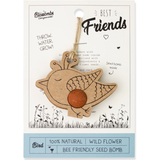 Blossombs Seed Bomb with String on Celebrate Card