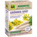 AUSTROSAAT Grünmix Spät - Groenbemester